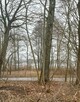 Działka z dostępem do jeziora, budowlana, 3000 m2 - 9