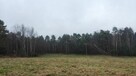 Nieruchomość - Niegowonice - 2
