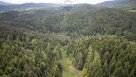Działka rolna w Krzeszowie - 2