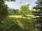 Na sprzedaż działka przy rzece - Lenarcice - 5