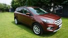 Ford Escape Piękny i wyposażony. Gwarancja - 5