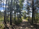 Działka rekreacyjna 1900 m2 Cyganówka, WILGA - 5