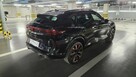 Cupra Kraków - Centrum - 4