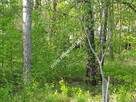 Działka BUDOWLANA - Z PLANEM ZAGOSPODAROWANIA MN - 2