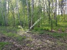 Działka CRP - ZGODNIE Z PLANEM ZAGOSPODAROWANIA - 3