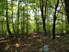 Działka inwestycyjna Kosów gm. Kowala, - 2