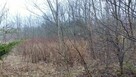 Nieruchomość - Niegowonice - 7