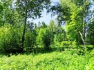Działki budowlane Pietrusza Wola - 5