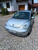 VW New Beatle - 9