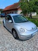 VW New Beatle - 7