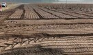 Karczowanie, mielenie, Mulczer leśny i wgłębny do 25cm - 6