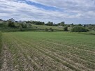 Sprzedam ziemię rolną pod siedlisko lub zabudowę - 6