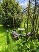 Ogród na ROD Żeromskiego - 1000 m2 - urokliwe i zaciszne - 7