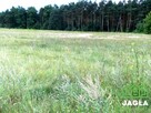 Działka rolna Bydgoszcz Zamczysko - 1