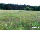 Działka rolna Bydgoszcz Zamczysko - 3