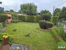 Działka rekreacyjna Jagodowo gm. Osielsko - 6