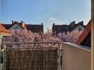 Mieszkanie Bielany Wrocławskie, Storczykowa - 2