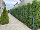 Mieszkanie Kiełczów gm. Długołęka, Akacjowa - 14