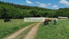 Łebno - działki budowlane przy zagajniku - 7