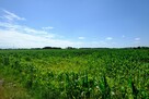 Działka inwestycyjna Teresin, - 2