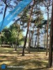 Sprzedam mieszkanie Bydgoszcz - 11