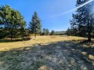 Działka budowlana 8600 m2 w klimatycznej miejscowości / MPZP / Osuchów / Mszczonów - 4