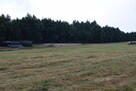 Działki budowlane 39a w Budach Głogowskich - 10