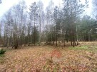 Działka Głęboczek gm. Czaplinek, Głęboczek - 2