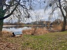 Działka Myślibórz - 4