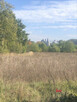 Działka budowlana Ostrowina gm. Oleśnica, - 3