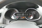 Renault Clio - 14