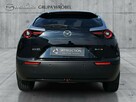 Serwis ASO, Salon Polska, Mazda Grupa Wróbel - 6