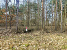 Działka budowlana Zalesie gm. Żabia Wola, Nowiny - 6