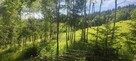 Działka W tropiu z częścią Budowlaną - 7