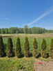Działka inwestycyjna Gostyń gm. Wyry, Wojciecha Drzymały - 5