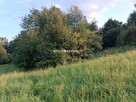 Działka rolna Łazany gm. Biskupice - 3
