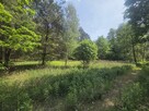 Działka budowlana Kąck gm. Wiązowna - 11