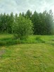 Dom na sprzedaż – Dziurdziewo , gmina Kozłowo - 13