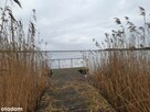 Działka z linią brzegową - 6