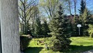 Dom nad jeziorem na Mazurach, linia brzegowa, pomost - 16