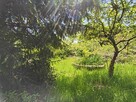 Ogród na ROD Żeromskiego - 1000 m2 - urokliwe i zaciszne - 11
