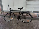 Rower holenderski - 4
