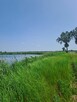 Działki Budowlane Strożyska NOWY Korczyn Busko Zdrój Media O - 16