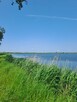 Działka BudowlanaStrożyska gmina Nowy Korczyn Busko Zdrój - 12