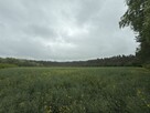 8 działek budowlanych w środku lasu, 30 min od Łodzi - 4