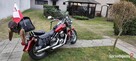 Kawasaki Vulcan 800 Classic - 3