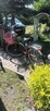 rower damski - 3