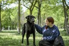 Gapcio-wymagający pracy pies czeka na świadomy dom-adocja - 4