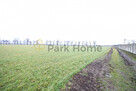 Działka budowlana Borowo gm. Czempiń, - 2
