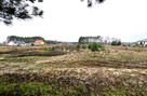 Działka rolna Stany gm. Nowa Sól, Stany - 2